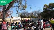 “We just want to go home”: Hundreds of Malawians camp outside Sandton consulate