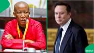 Julius Malema disses Elon Musk for calling him international criminal: "You've lost your left brain"