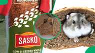 Baking brand Sasko officially responds to viral rat video: "We are devastated"