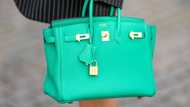 What is the most expensive Birkin bag, and how can you get it?