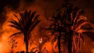 Brazil records worst day for Amazon fires in 15 years