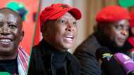 South Africans slam Julius Malema's Durban July shoes worth R27K