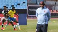 Al Ahly boss Pitso Mosimane wants to sign Peter Shalulile from Mamelodi Sundowns