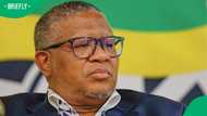 Fikile Mbalula pursues legal action against Brown Mogotsi following the businessman's accusations