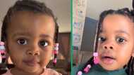 TikTok Video captures cute moment of little girl wanting white bread over brown one, SA laughs