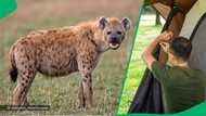 "I can never forget": 2nd Man attacked by hyena at Cape Vidal speaks for 1st time after face injury