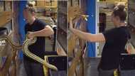 Woman flips off snake for trying to bite her, funny TikTok goes viral with 87M views