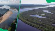 Top 11 longest rivers in the world: Length, key facts, and trivia