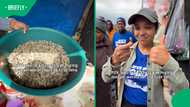 Zille’s young campaign strategist reacts after biting into mopani worms in video