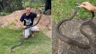 "Well done": Nick Evans catches Black Mamba, house owner thought it was a cobra