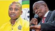 Pro-Jacob Zuma supporter, ex-councillor Andile Lungisa suspended for 18 months