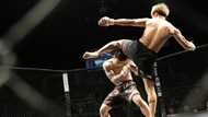 The list of the top 10 best MMA fighters in 2020