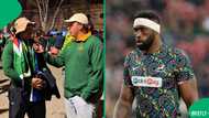 "Team is getting old": SA chimes in as Springbok fan from Ireland crashes out over Australia loss