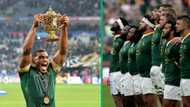 Springboks seem tired except Damian Willemse during RWC trophy tour, TikTok video has SA cracking up