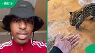 “Where did he get a leopard?”: Leopard cub video leaves Mzansi full of questions