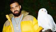 Drake net worth 2021: age, children, spouse, songs, profiles, religion, height