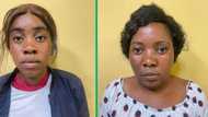 2 Zimbabwean nationals busted for abducting 3 children in Mpumalanga and Springs, netizens applaud SAPS