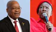 Malema hopes Zuma will join the EFF, video of invitation leaves SA in disbelief