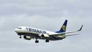 Ryanair flies back into annual profit of 1.4 bn euros