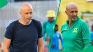 Mamelodi Sundowns Coach Miguel Cardoso Challenges Star to Prove His Quality