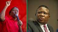 Fikile Mbalula and Julius Malema face off, former friends throw jabs at each other, Mzansi entertained