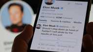 Musk expresses doubts on reliability of Twitter CEO poll