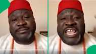 "Stop annoying us": SA reacts to Nigerian king's call for Mzansi to be under Nigerian leadership