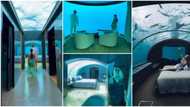 Video of underwater hotel room that costs R1m to sleep in per night goes viral, social media users express surprise