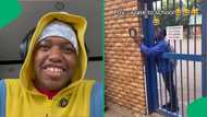 "Let the child in": Late learner uses best Afrikaans in hilarious bid to get into school, SA amused