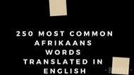 250 most common Afrikaans words with English translation