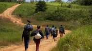 'Operation Exodus': Brazil miners flee Yanomami land