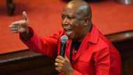 EFF leader Julius Malema raises concerns about the delays in the release of matric results