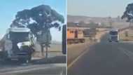 Front of truck ripped off by passing train, driver's life saved by mere centimetres