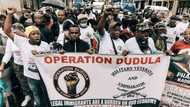 Operation Dudula demands jobs for unemployed young graduates and plans to assist with rebuilding KZN