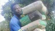 "Yoh": Man carries 5 heavy cement bags at once, Mzansi can't even believe it