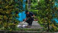 Three people killed in Philippine university shooting