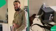 2 Male carpet pythons fight over female and fall through ceiling into bathroom in viral video