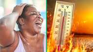 High temperatures caused by global warming, South Africans joke about the cause: “I blame Mantashe”