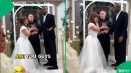 "I am sorry": A scorned woman causes a scene at the wrong wedding and realises the mistake too late