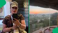 "The sunset is to die for": American tourist stunned by Kruger National Park safari cabin, SA wowed