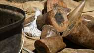 Smugglers hide rhino horn in boxes of chocolate bars, caught at OR Tambo en route to China