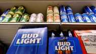 Bubbling profits for AB InBev despite Bud Light boycott