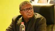 Fikile Mbalula says the ANC will deal with anarchists, Mzansi disagrees: “ANC has never shown any discipline”