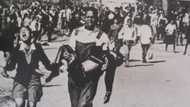 Hector Pieterson: The untold truth of the 1976 Soweto Uprising