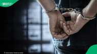 Durban Metro Police seize drugs worth R1 million at Phoenix property, arrest one person