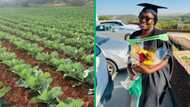 Vegetable farmer in North West Province with accounting degree from Unisa thrives in agriculture