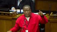 EFF leader Julius Malema pushes for Parliament to move from Cape Town to Tshwane