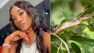 Traditional healer discusses what dreams about snakes mean, peeps left in complete awe