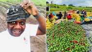 Local farmer and businessman feels grateful to have given 15 people jobs