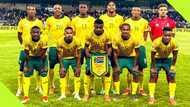 "That's a joke": Local fans react after Bafana Bafana drops in the Fifa rankings